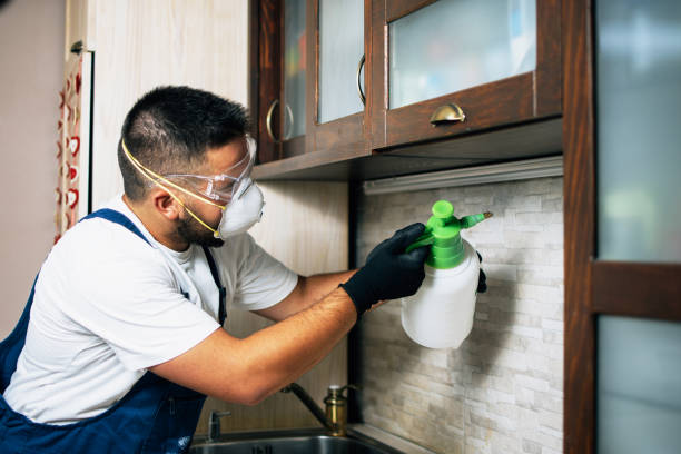 Best Pest Control for Restaurants  in Cliffwood Beach, NJ